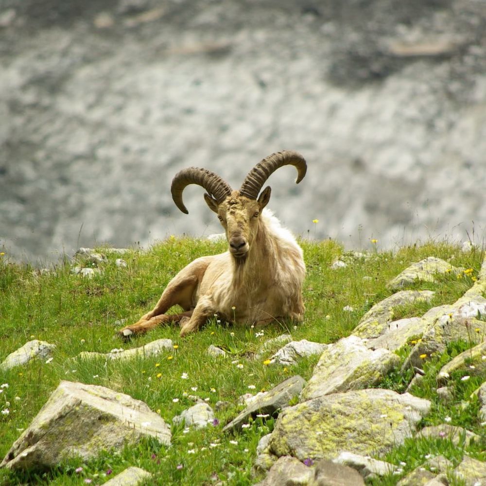 Из жизни отдыхающих ...