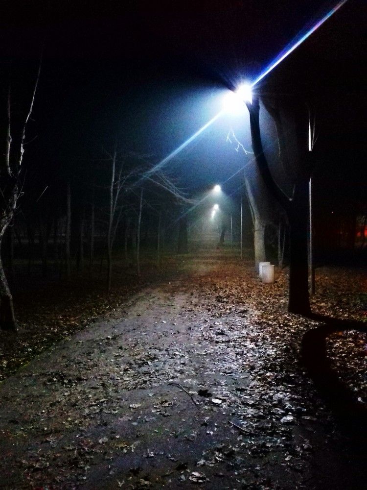 Photograph by Алина Шевченко
