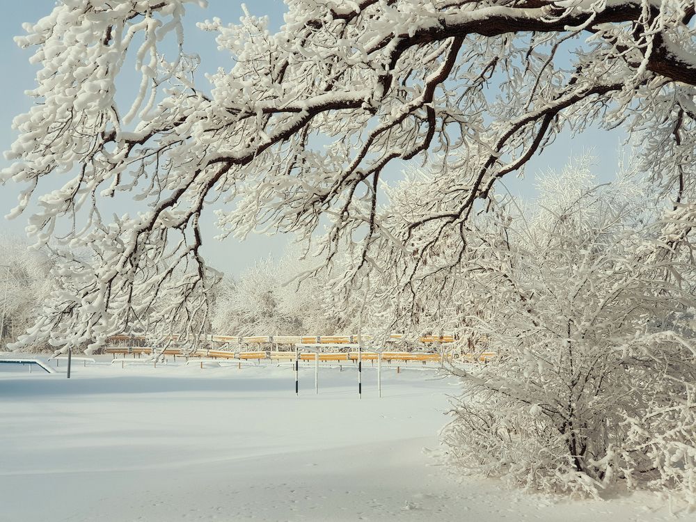 Свежий снег