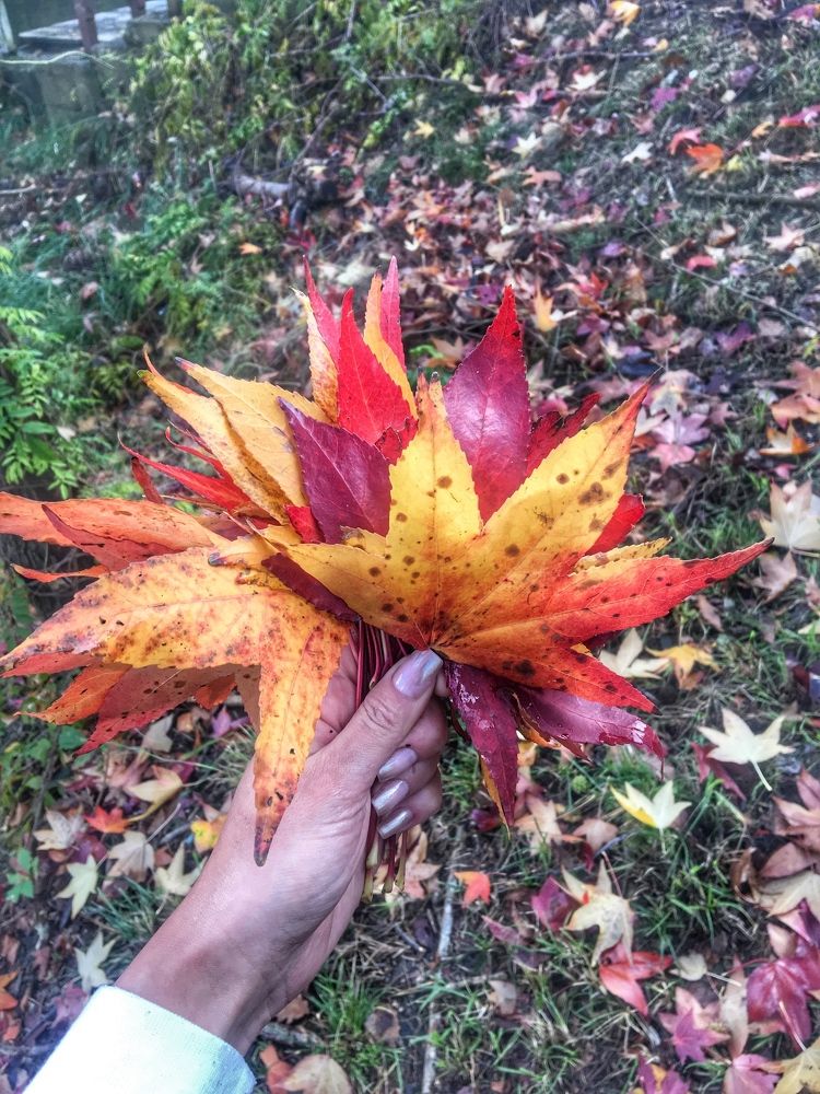 Autumn