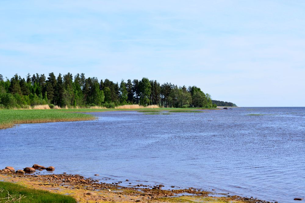 Photograph by Анатолий Орлов