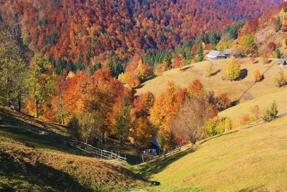 Another summer has passed ... and now it's autumn ...