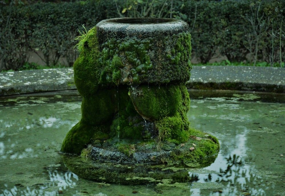 Photograph by Naim Iseni