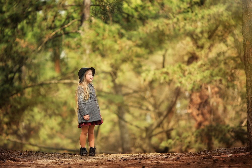 Зарисовки леса