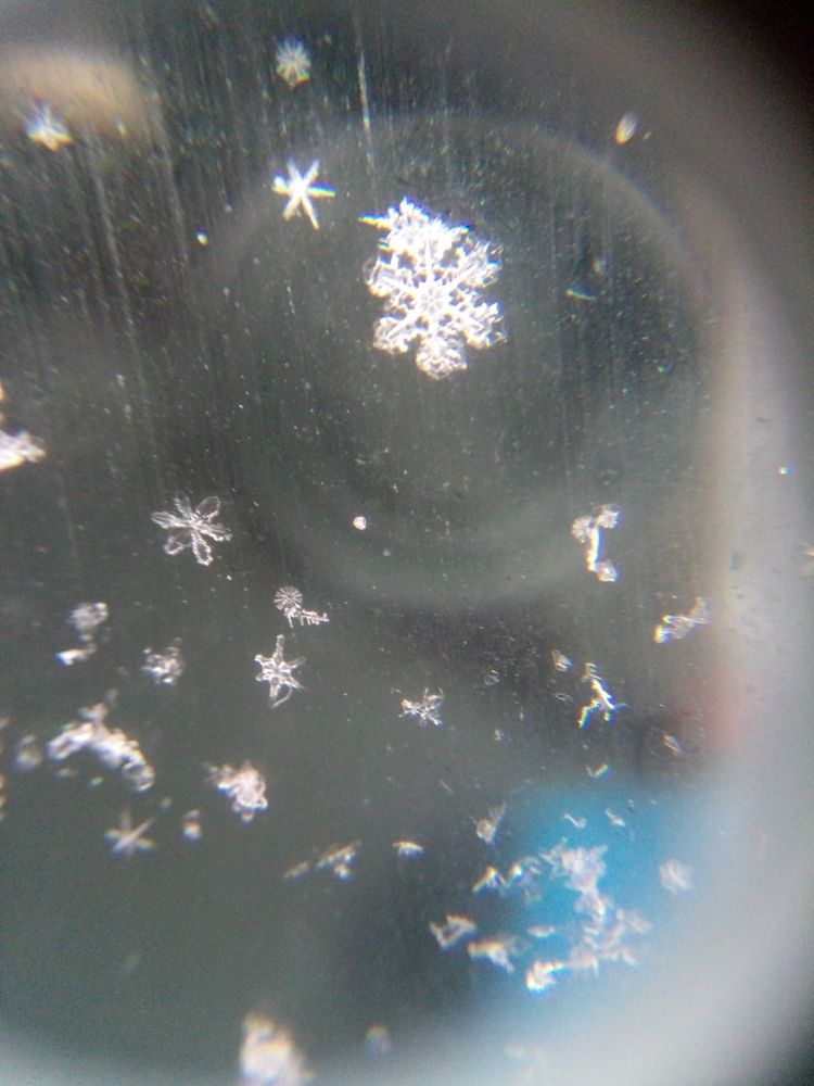 Photograph by Лена Латова