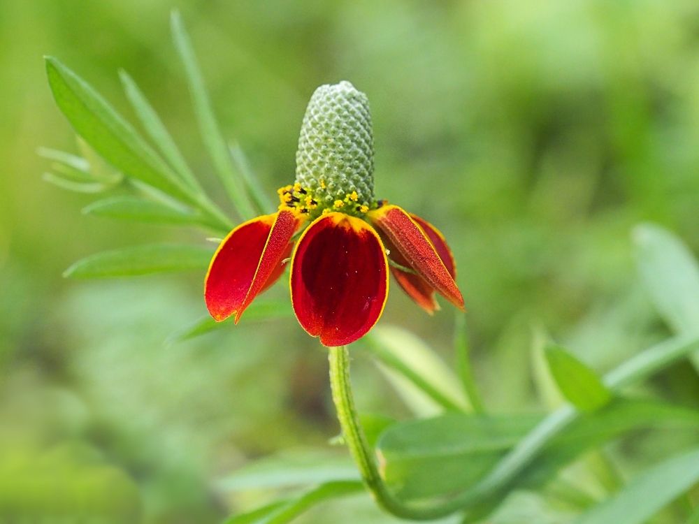 Photograph by Александр Баран