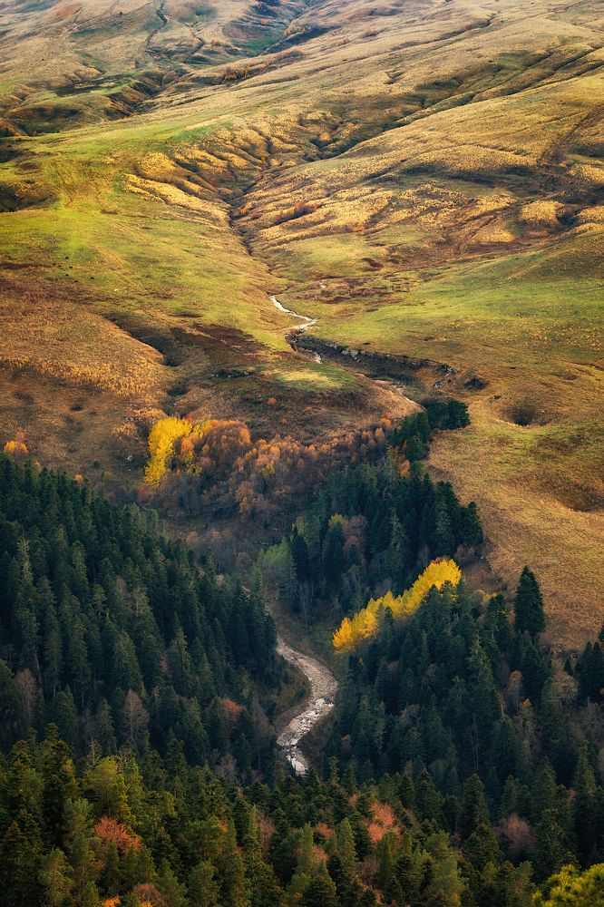 The tributary of the Kurdzhips River