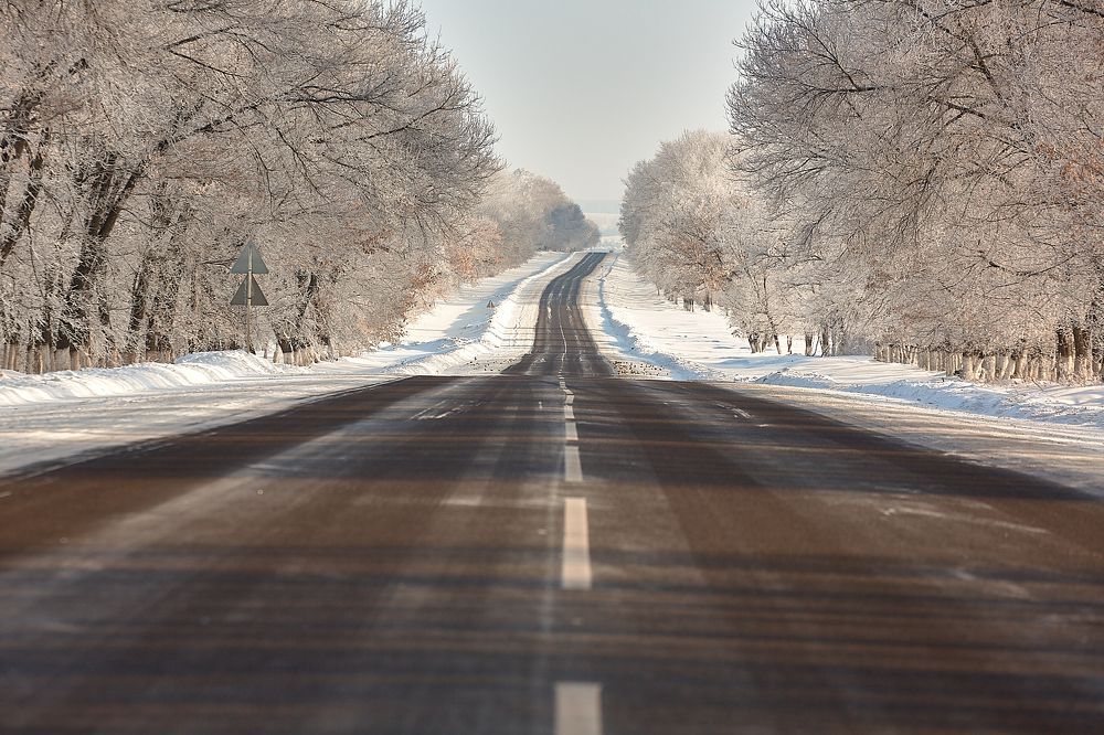 Дороги Курска
