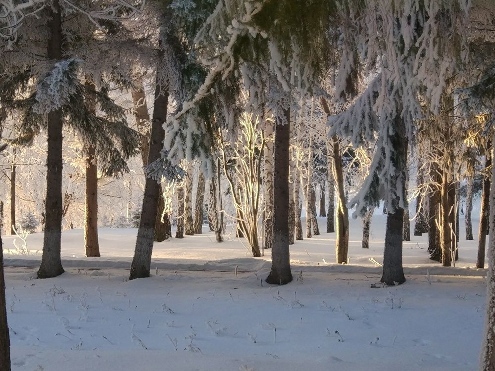 Зимняя сказка