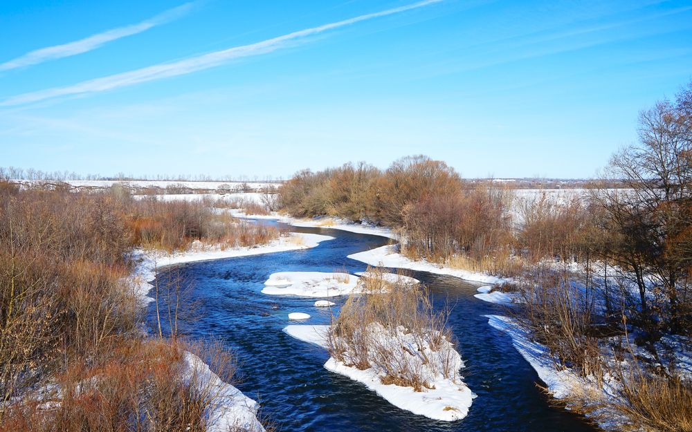 Аномально теплый февраль.