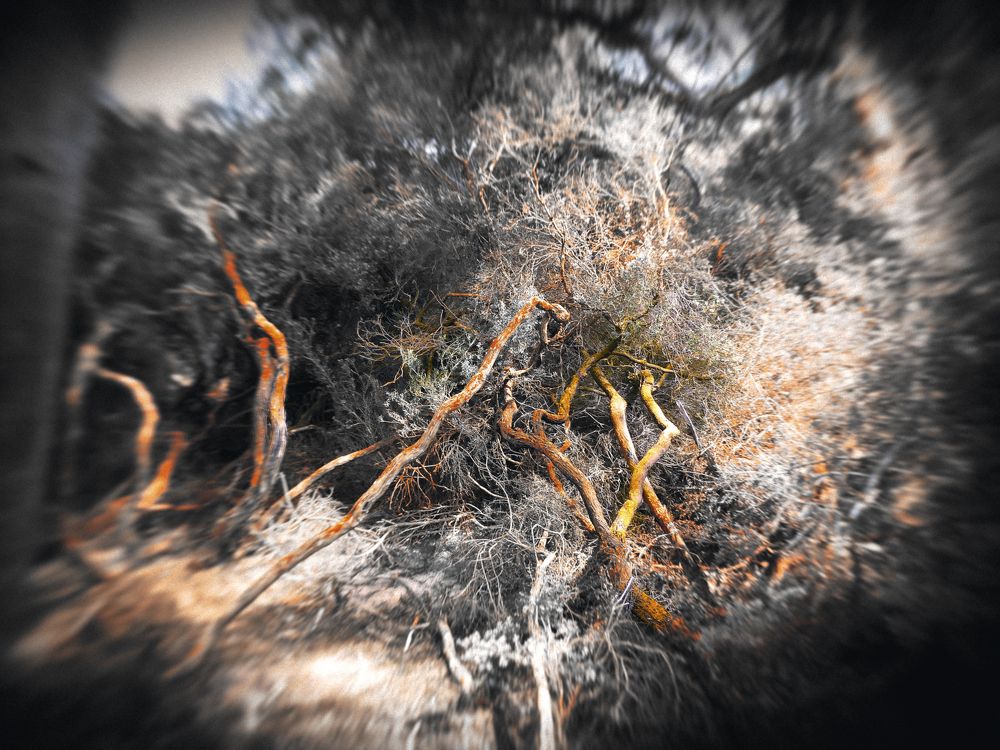 Earth Veins