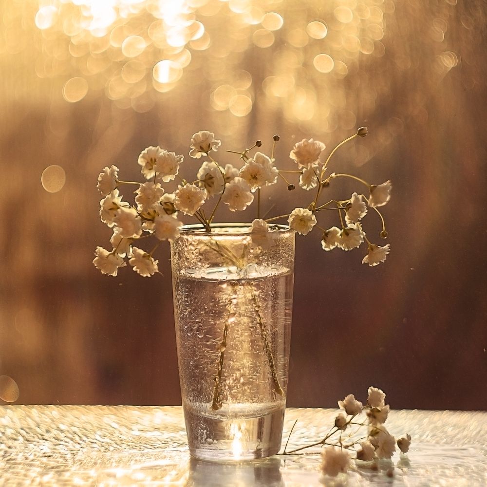 Photograph by Аксана Чалова