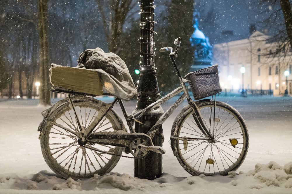 Photograph by Антон Каменский