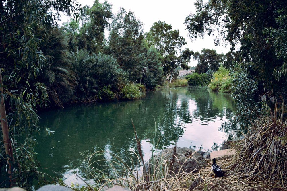 Photograph by Юля Курдова