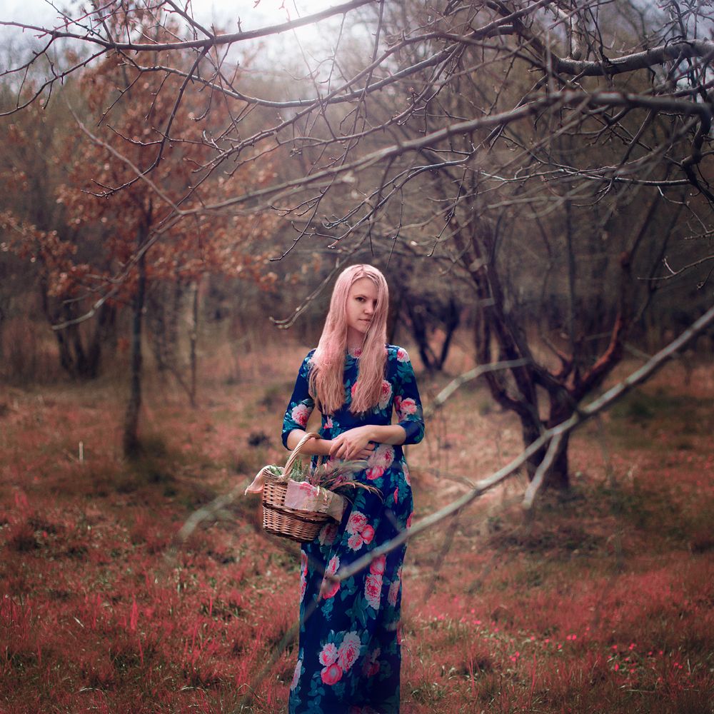 Photograph by Оля Паулис