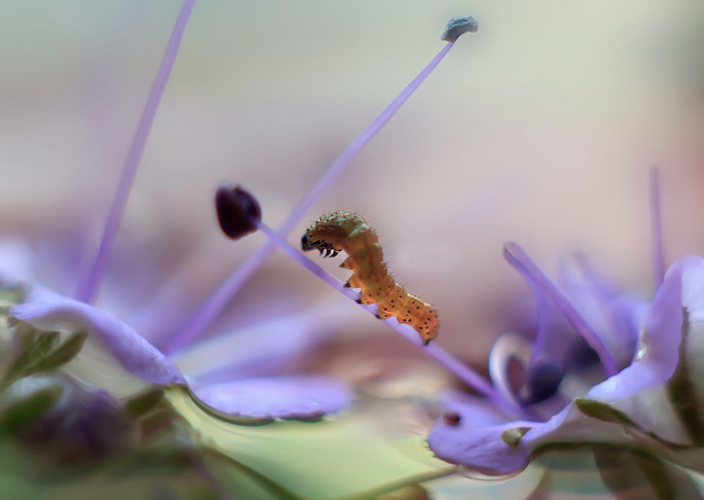 На пути к цели