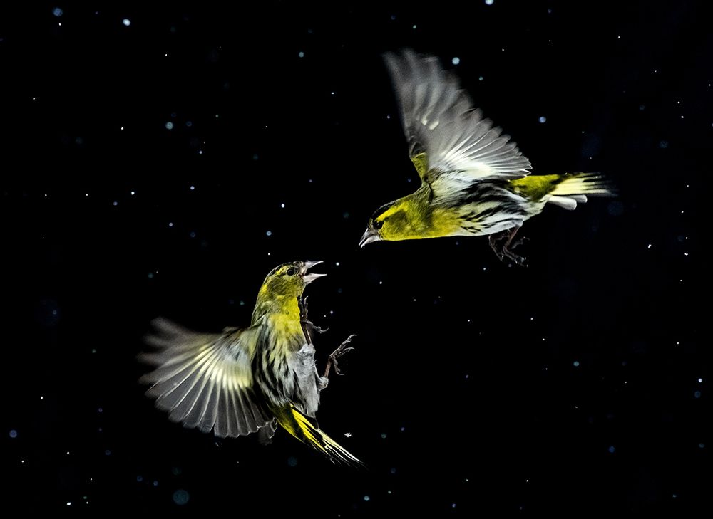 The moment before the clash