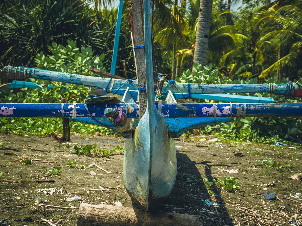 Photograph by Photons Reflectitur