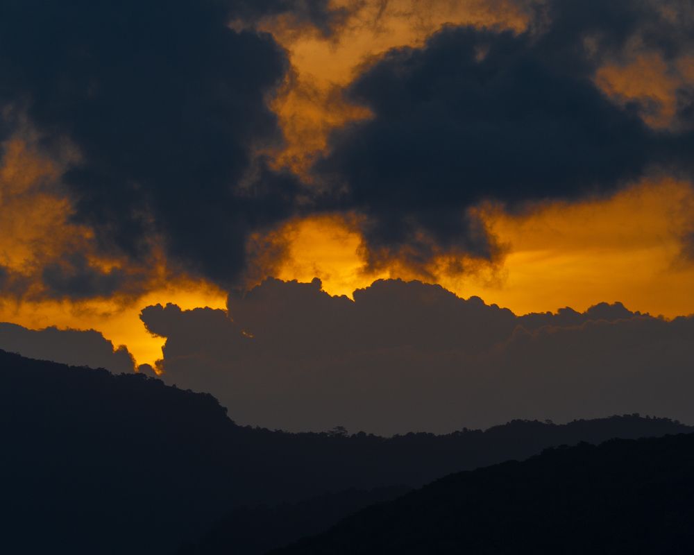 Photograph by Photons Reflectitur