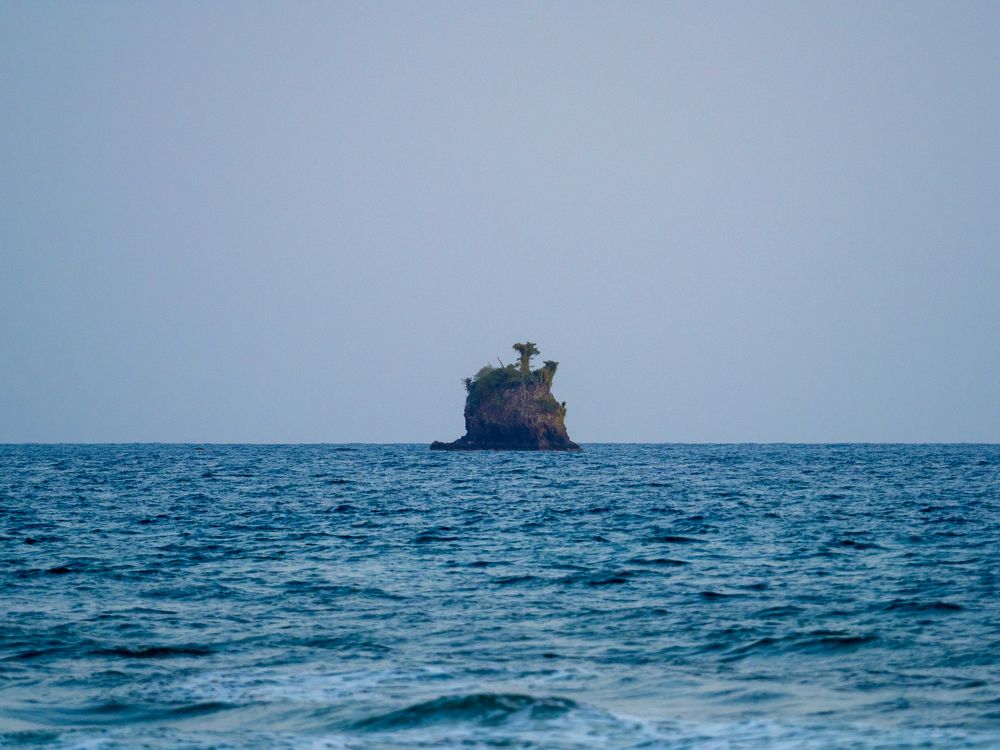 Photograph by Photons Reflectitur