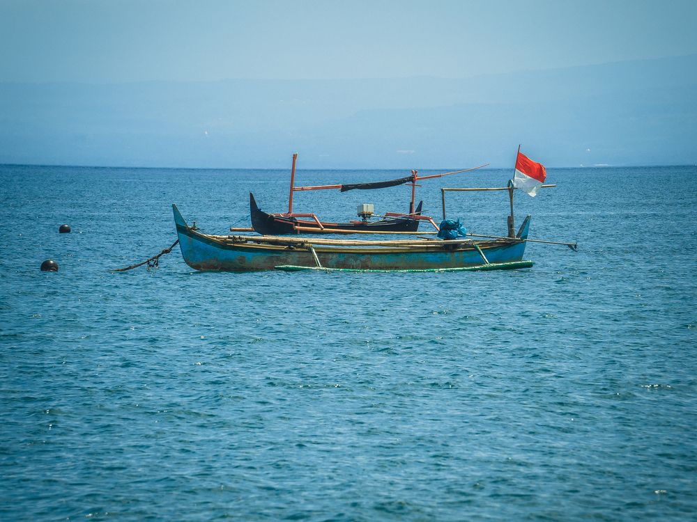 Photograph by Photons Reflectitur