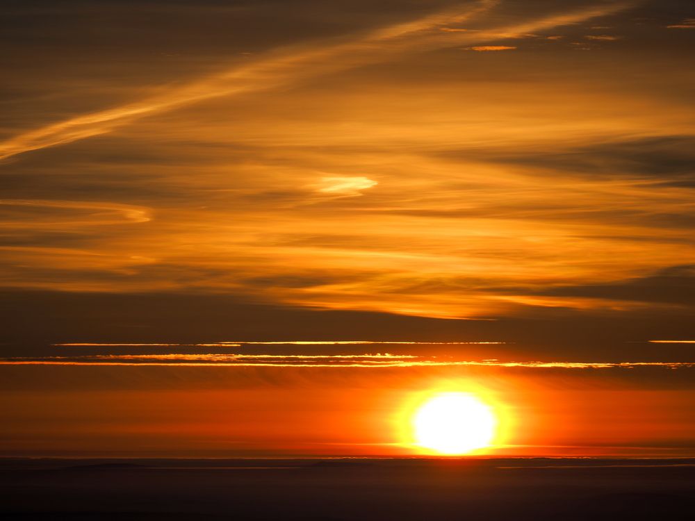 Photograph by Photons Reflectitur