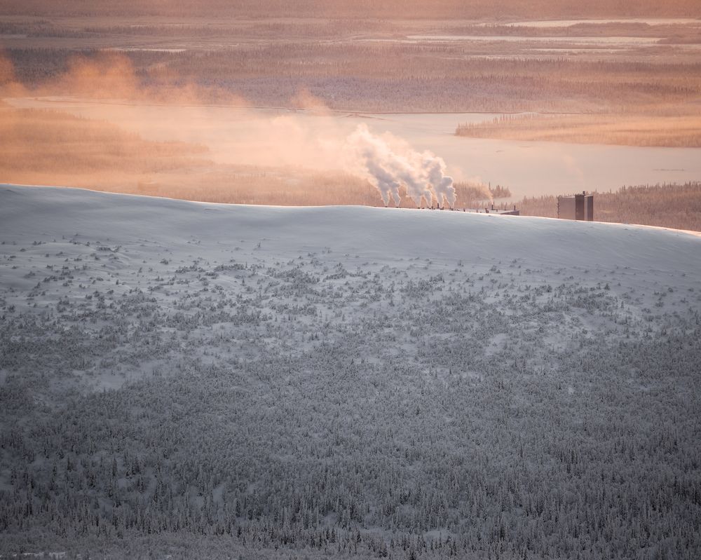 Photograph by Photons Reflectitur