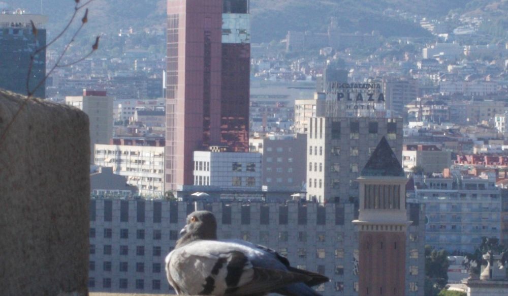 Voiaj(or)... în Barcelona! 2