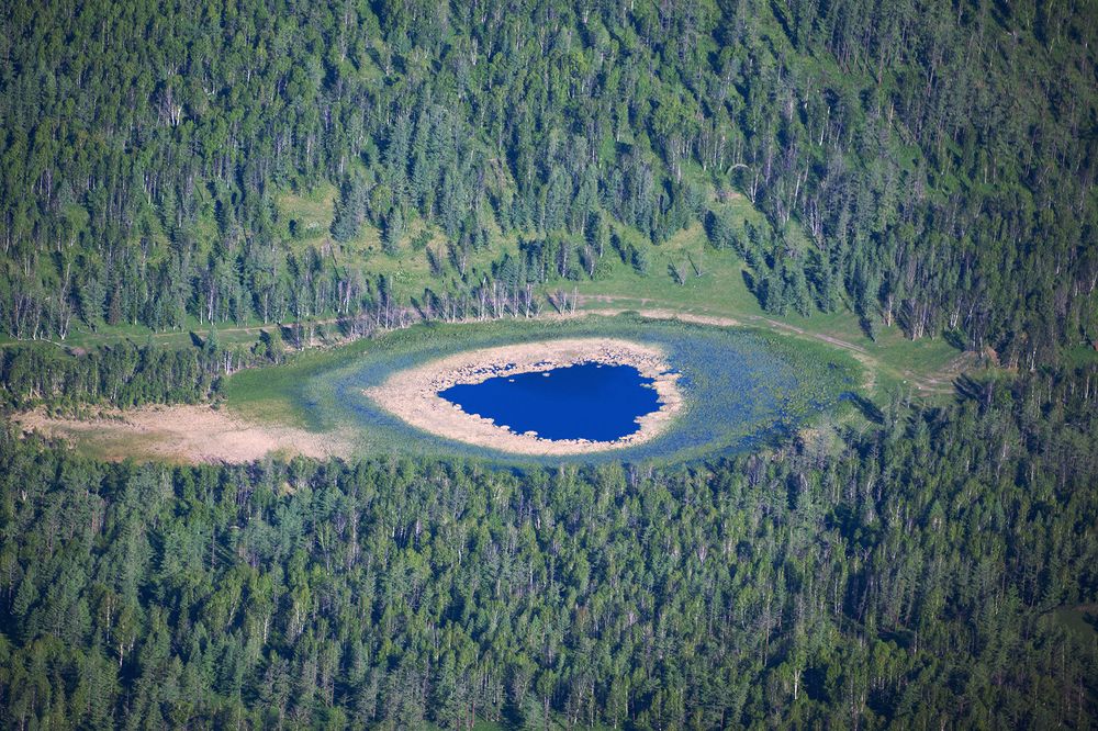 Перо таёжной Жар-Птицы