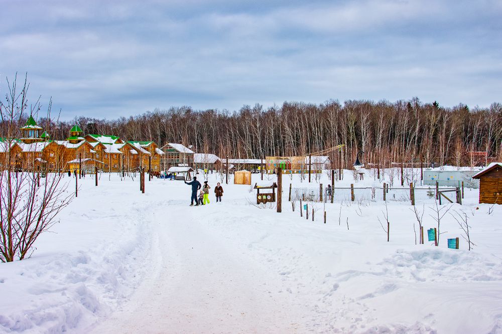Зимние прогулки