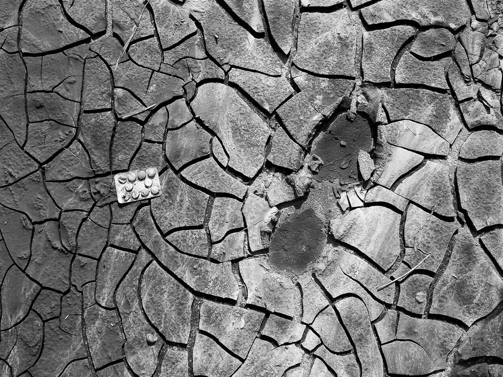 Photograph by Андрей Ивакин