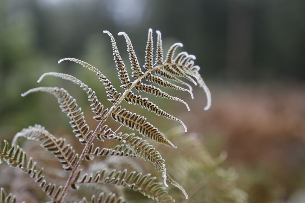 Зябко утром