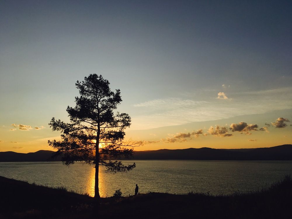 Одиночество.