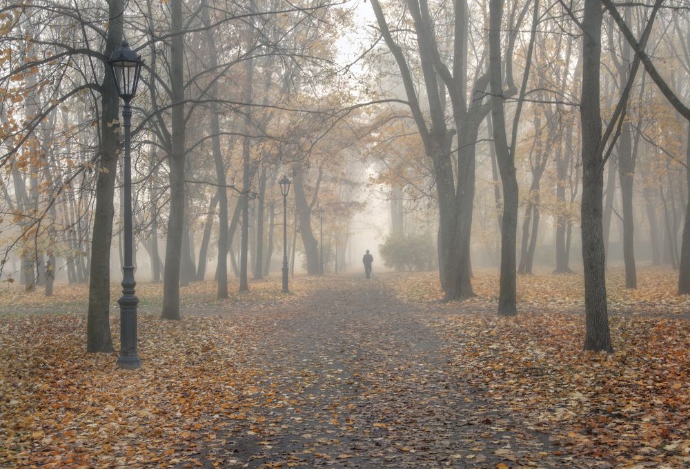Туманное утро в Выборге