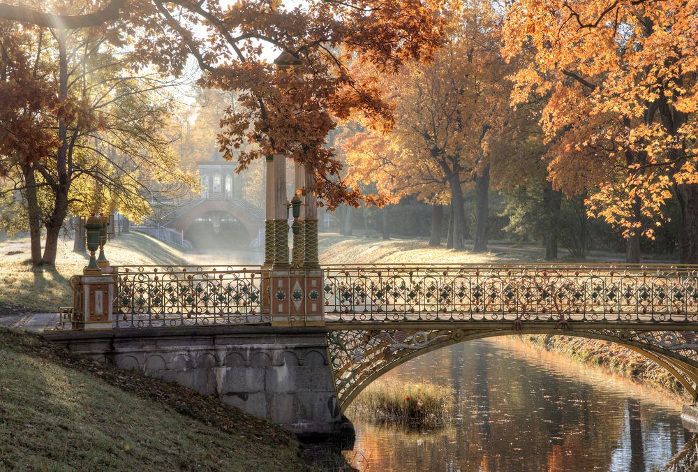 Утро в пушкинском парке