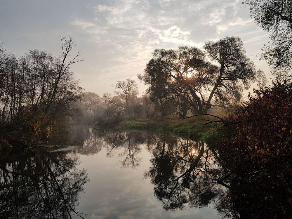 Утренняя река