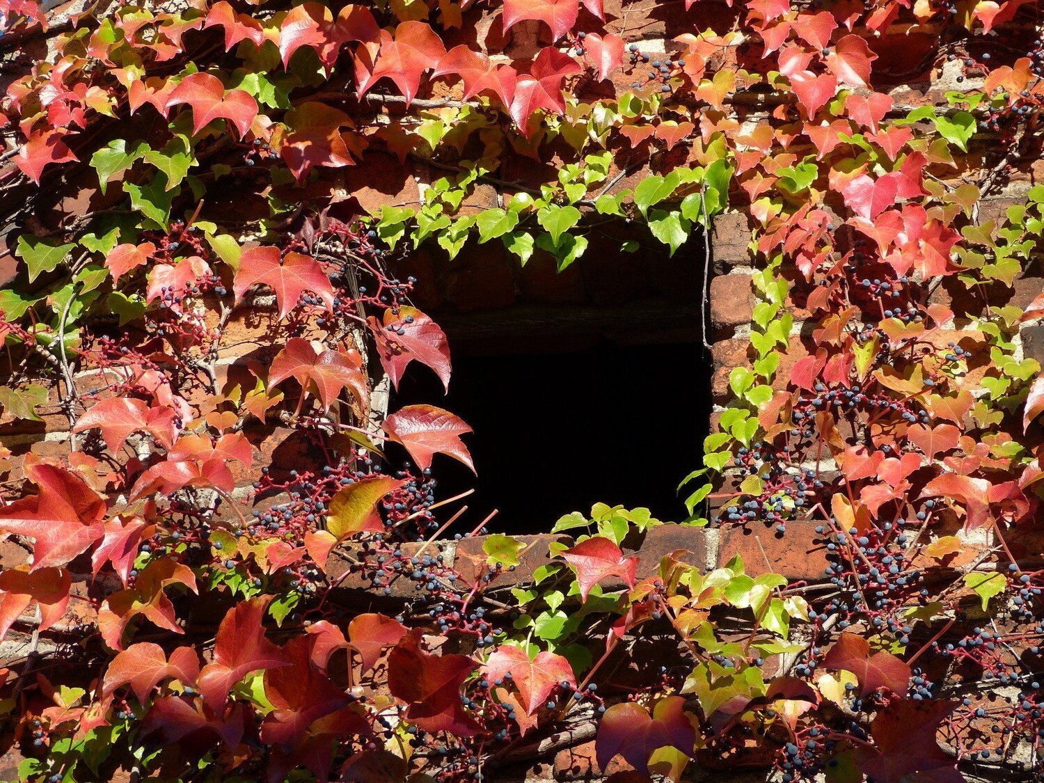 indian summer