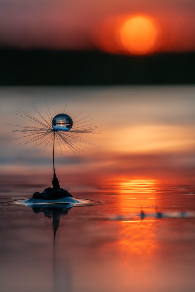 Water ball at sunset time
