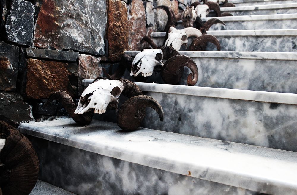 Эволюция человека