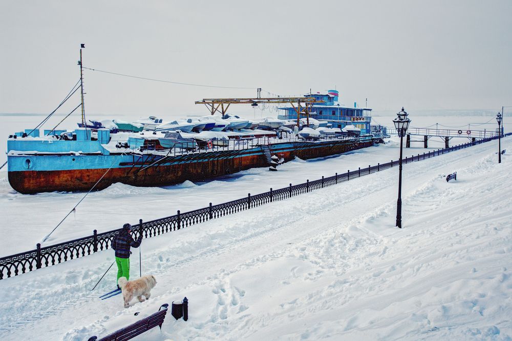 Верные друзья