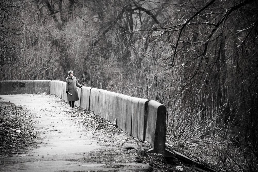 Птицы в городе