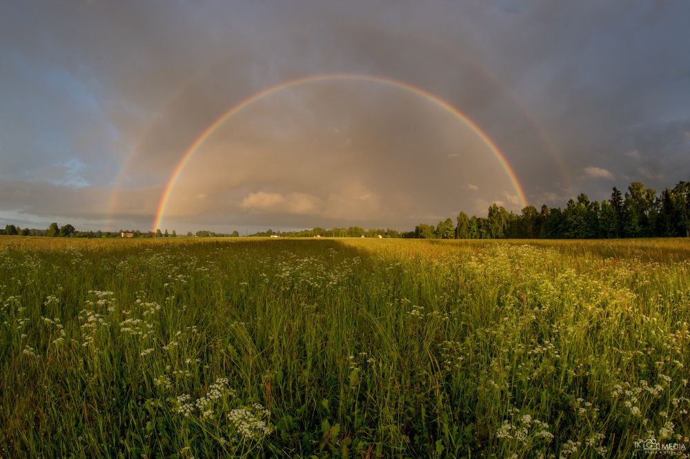 Rainbow in the meadow