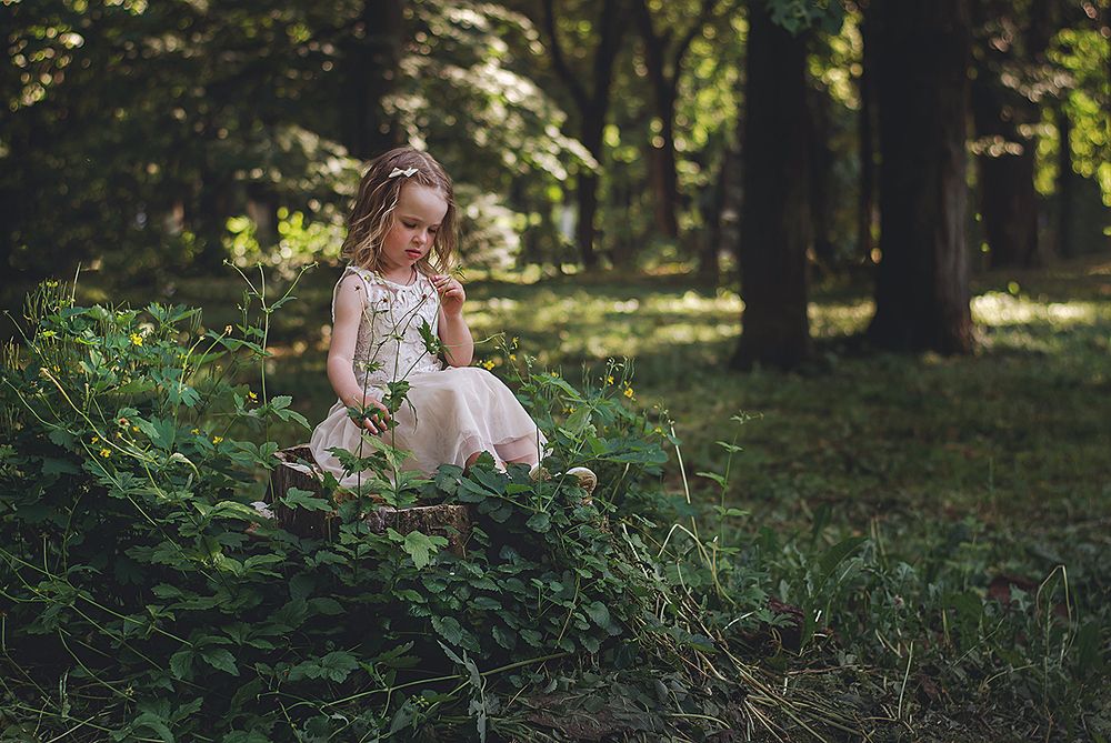 Сказки леса