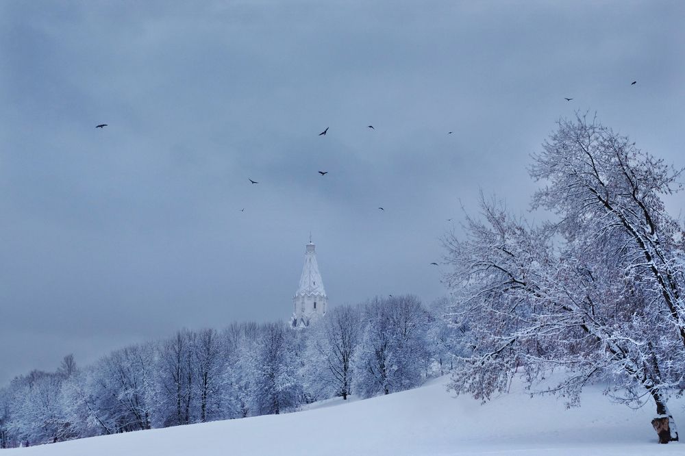 Photograph by Anna Saltykowa