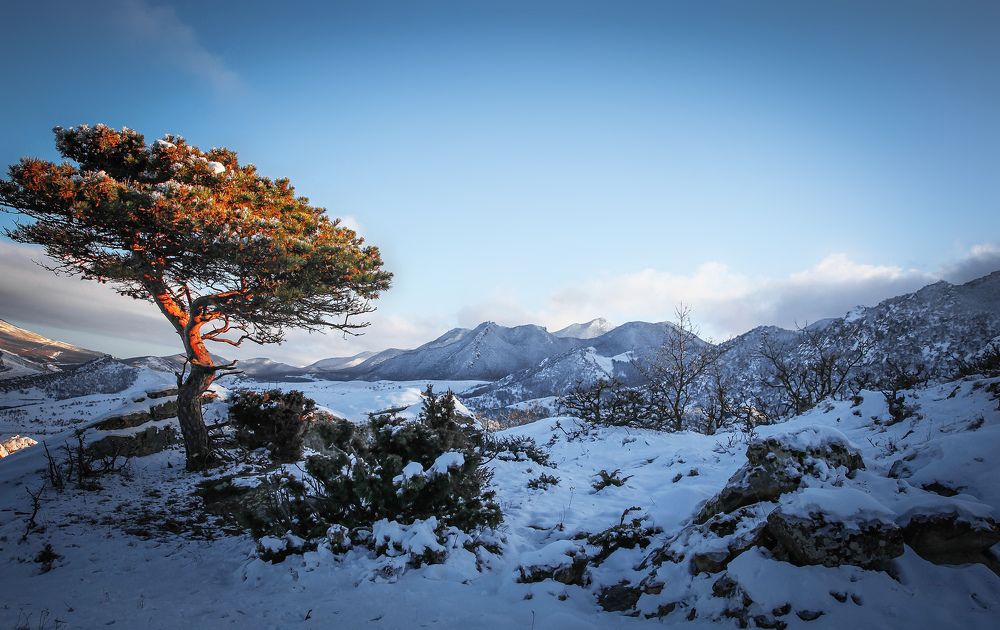 Горный пейзаж..