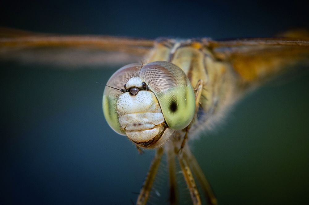 С улыбкой по жизни...