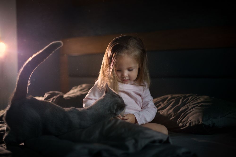 Photograph by Людмила Казакова