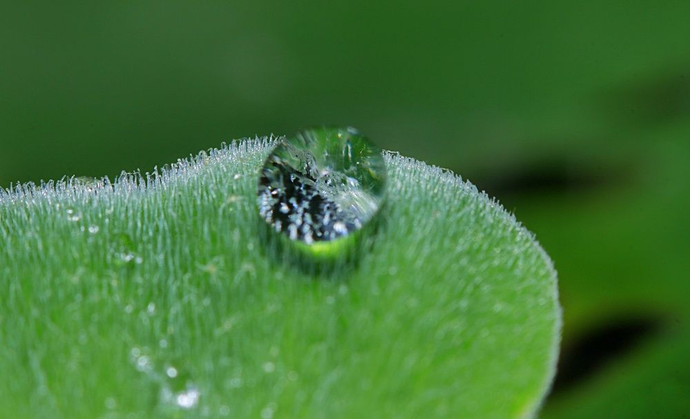 The crystal The waterdrop