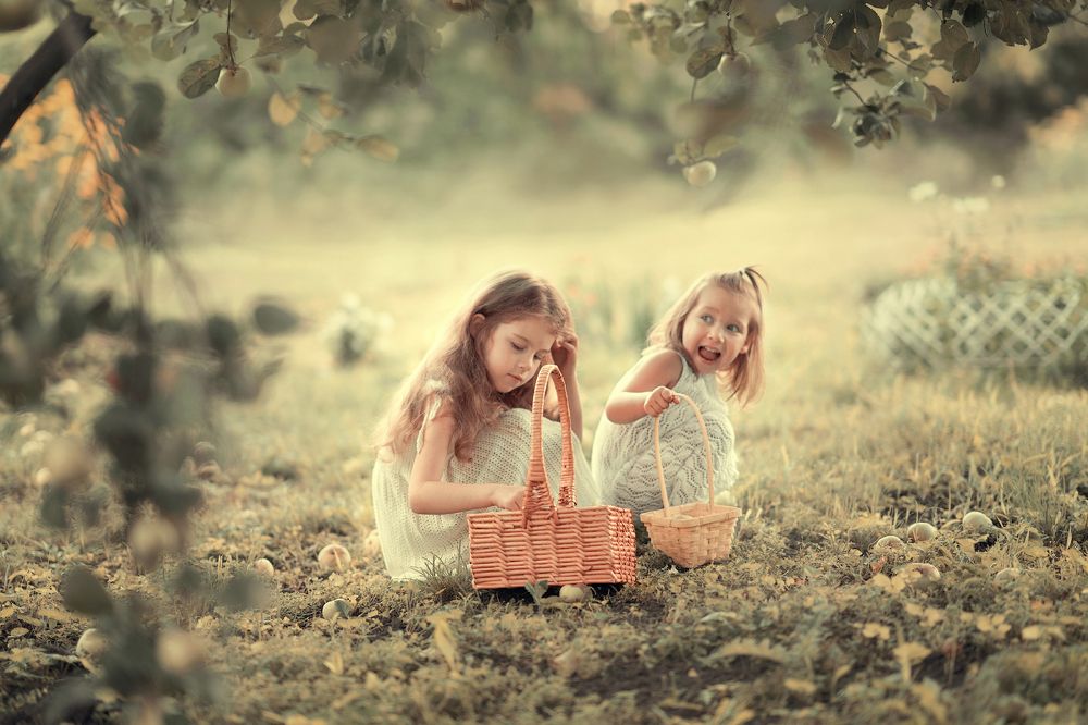 Три Грации на уборке урожая