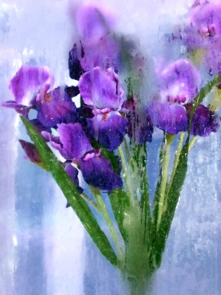 Photograph by Marina